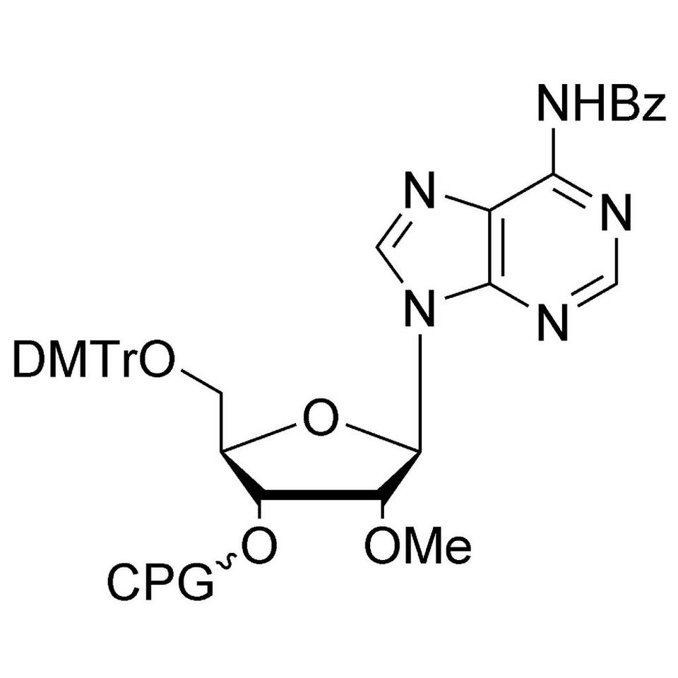 2'-OMe-A (Bz) CPG, 1000 Å, Standard Loading, 100 mg
